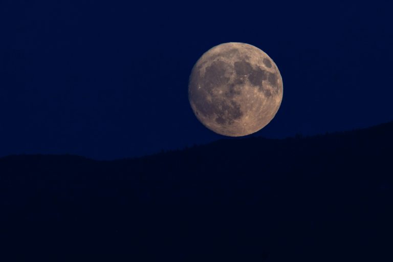 pexels denitsa kireva 2915302 28375738